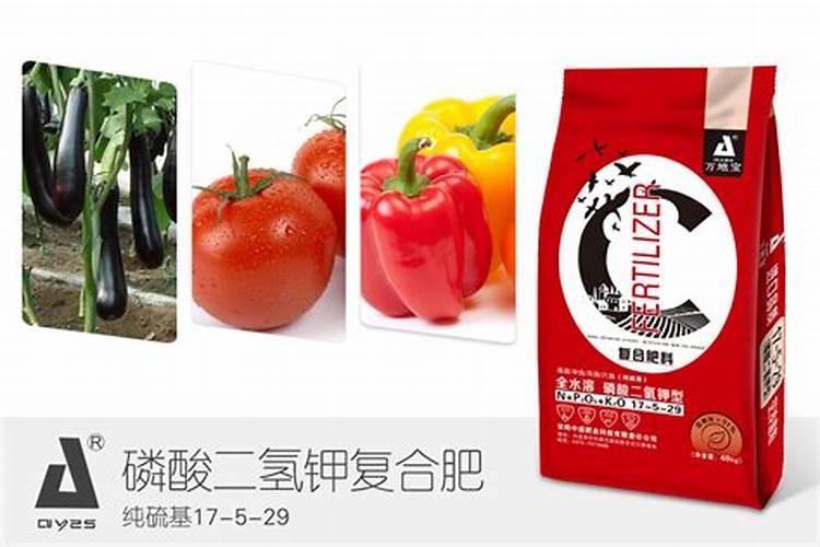 甜椒施甜椒水溶肥及管理有妙方
