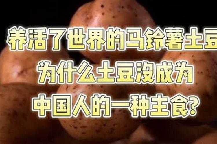 土豆最忌三种肥料