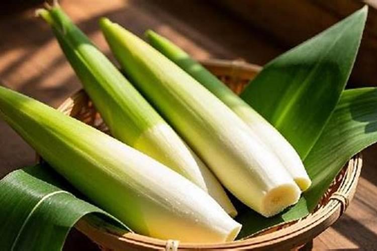 茭白为什么长的很细
