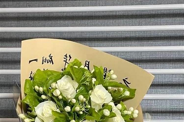 饼肥可以施什么花