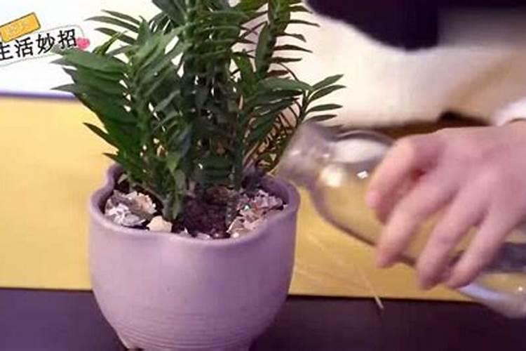 钾肥如何使用在花上