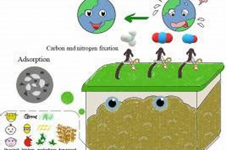 堆肥不长白色菌丝