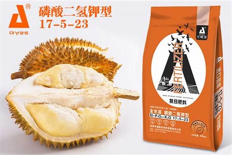 榴莲树叶子上有黑点是什么原因？