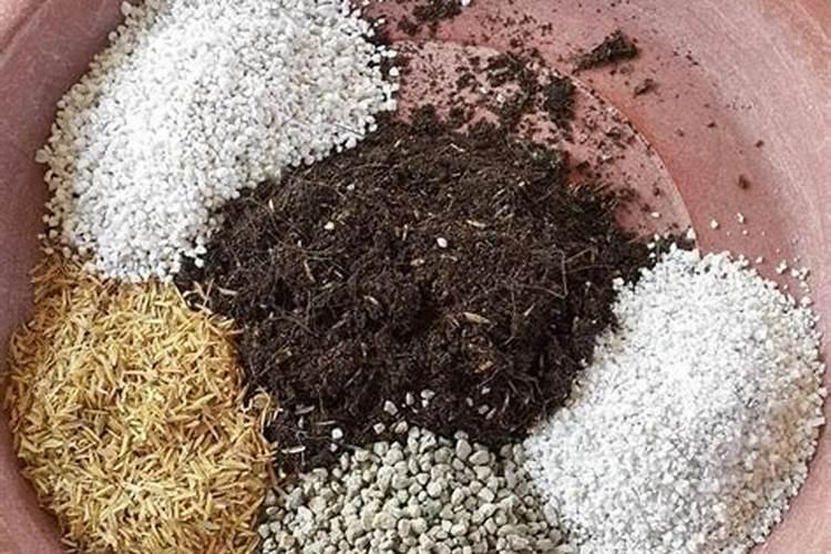 盆栽花卉用什么肥料比较好？哪些肥料生根壮根肥效好？