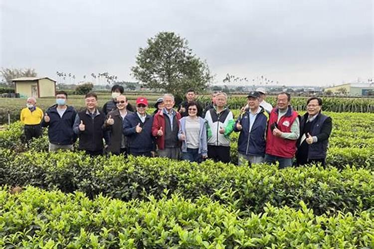 适合江西的种植业有哪些