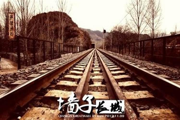 红枣基肥上什么好