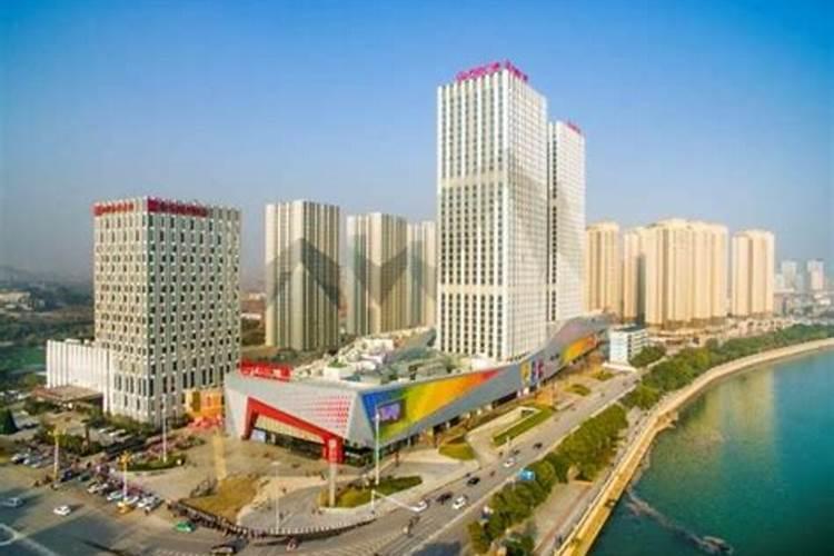 冬枣树和红枣树哪个好管理