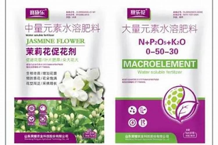 茉莉花大量元素水溶肥用什么好