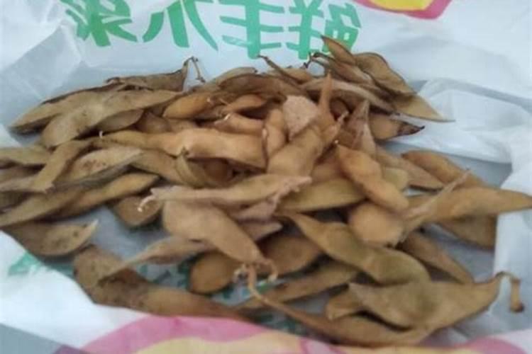 毛豆壳可以做肥料吗,可以晒干直接当肥料