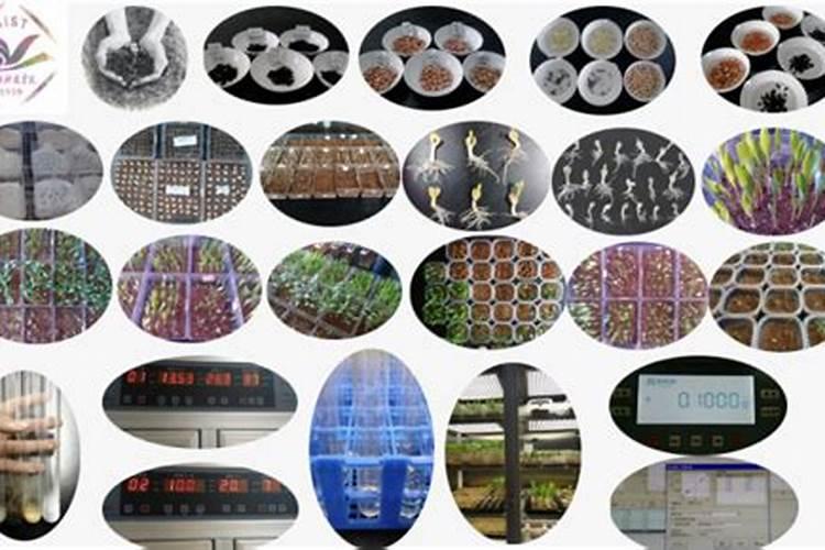 [提高氮肥有效利用率七法]提高氮肥利用率的意义