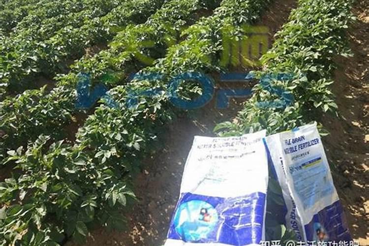 进口的水溶肥和国产的有啥区别？