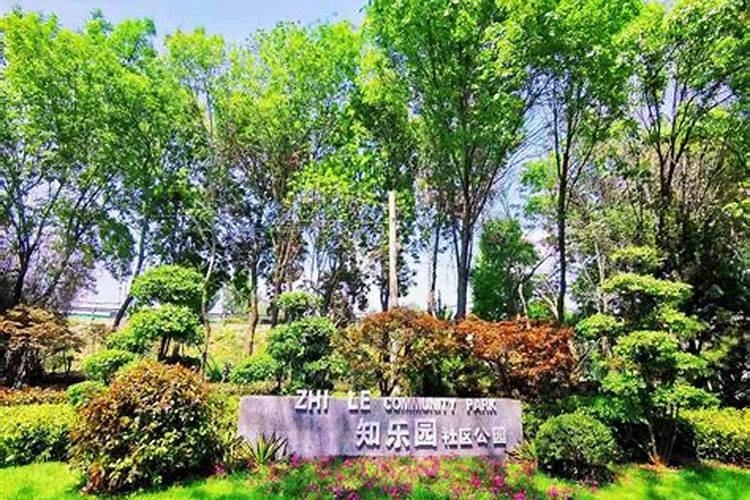 山东施贝丰生物科技有限公司怎么样？