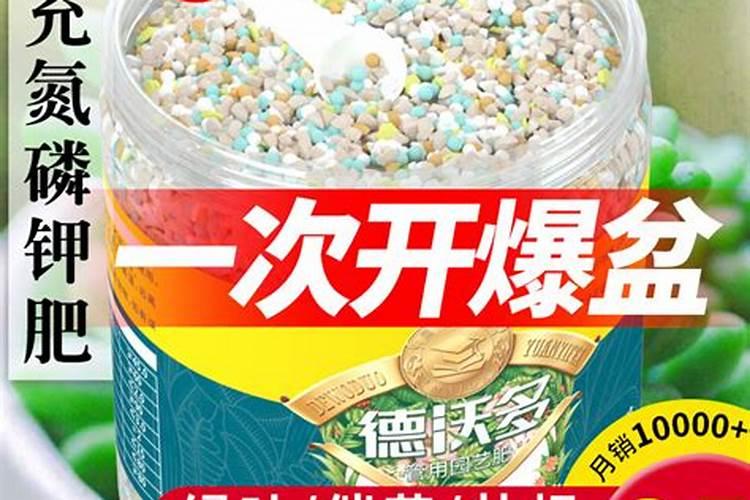 多肉用什么肥料比较好,多肉肥料的选择