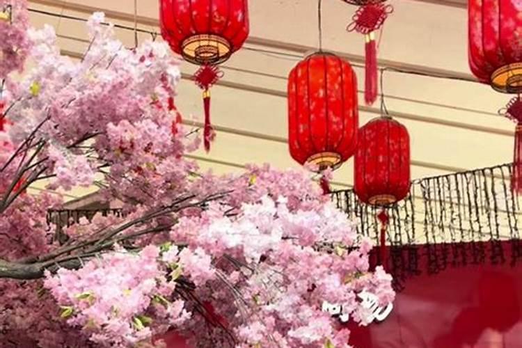 茄子叶子黄了？