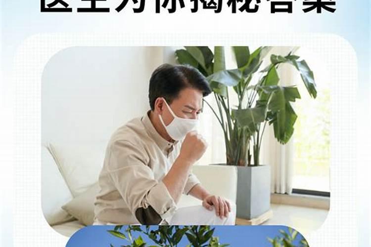 居家盆栽橘子树如何管理？