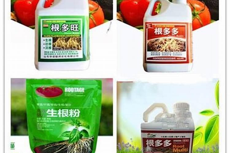 生根粉直接兑水浇上可以吗