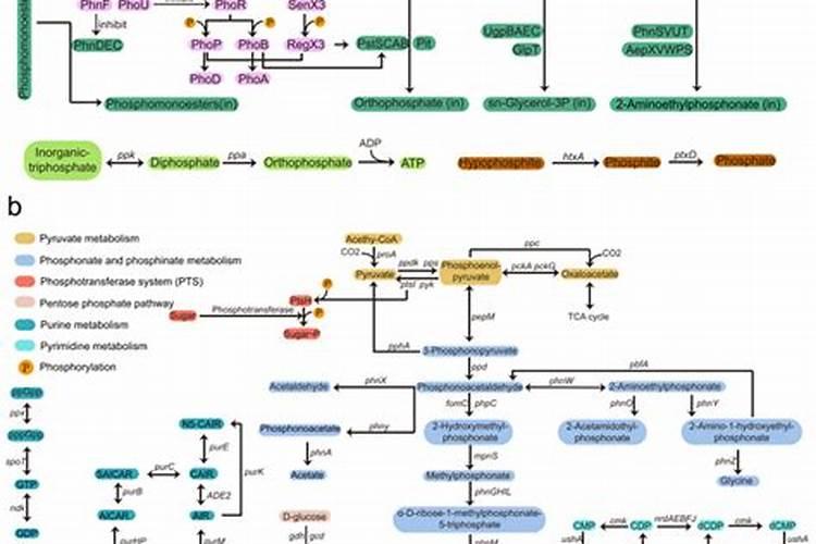 脱硫石膏、天然石膏、磷石膏有什么区别