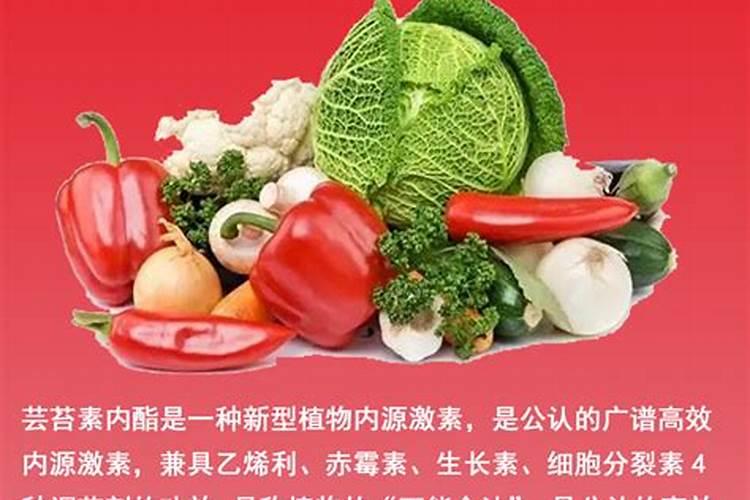 紫甘蓝可以用芸苔素嘛？