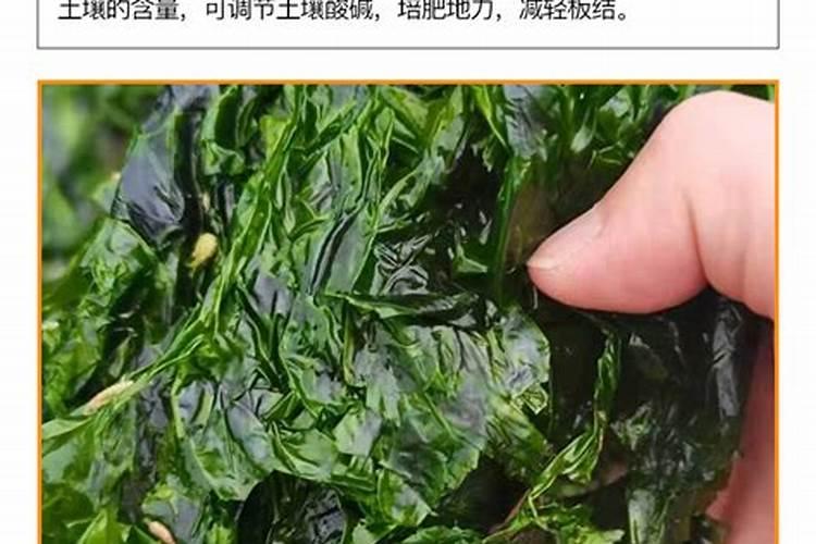 上海澳科氏肥料怎么样