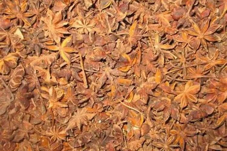 八角施什么肥最好