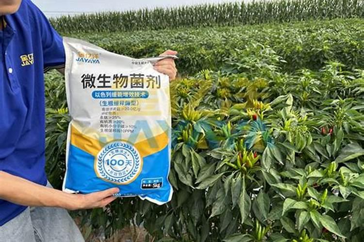 水溶肥的正确使用方法你知道吗？