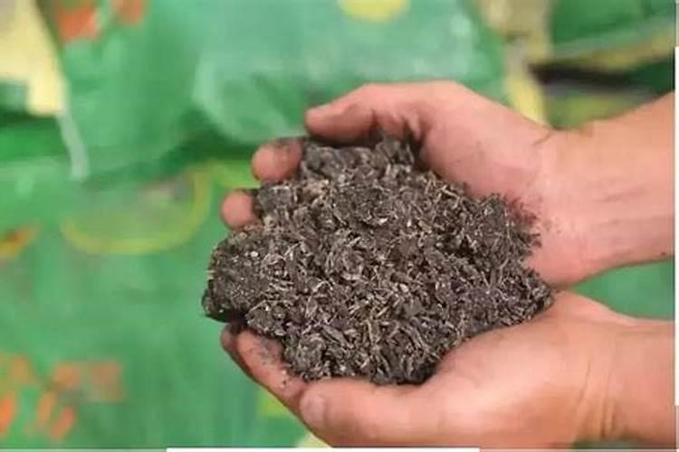 硼砂可以直接撒到土里做肥吗？