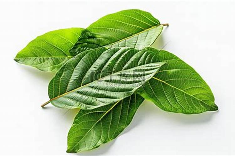 番茄开花期间用什么样的叶面肥比较合适？