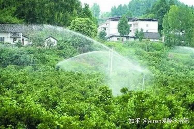 水溶肥可以撒施吗