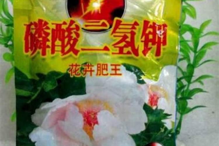 怎么用磷酸二氢钾控梢