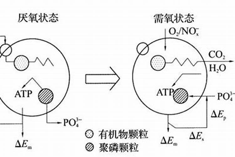吸收氮磷钾的专用截水沟做法