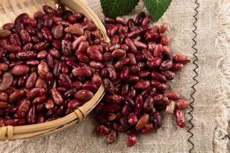 绿豆在怎样的环境下发芽最快？