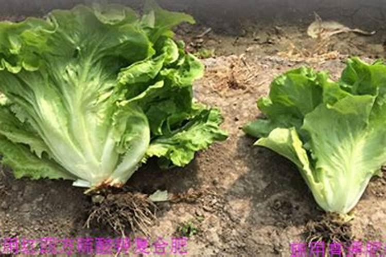 硫酸钾型复合肥适用于什么土地