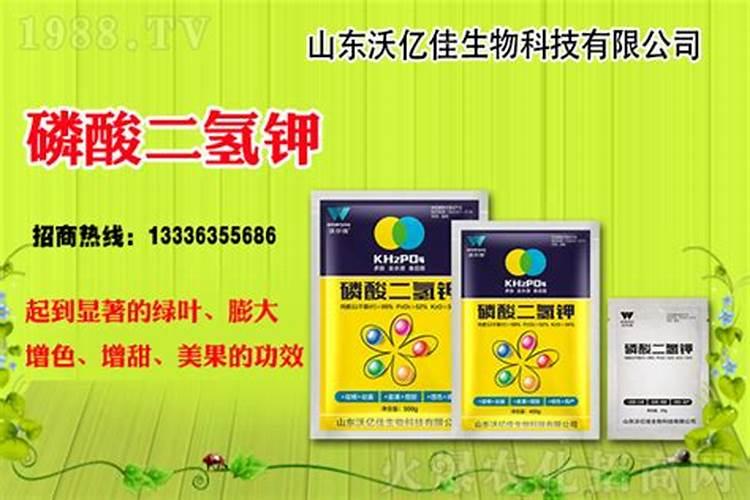 怎么用最好 过磷酸钙适合哪些植物