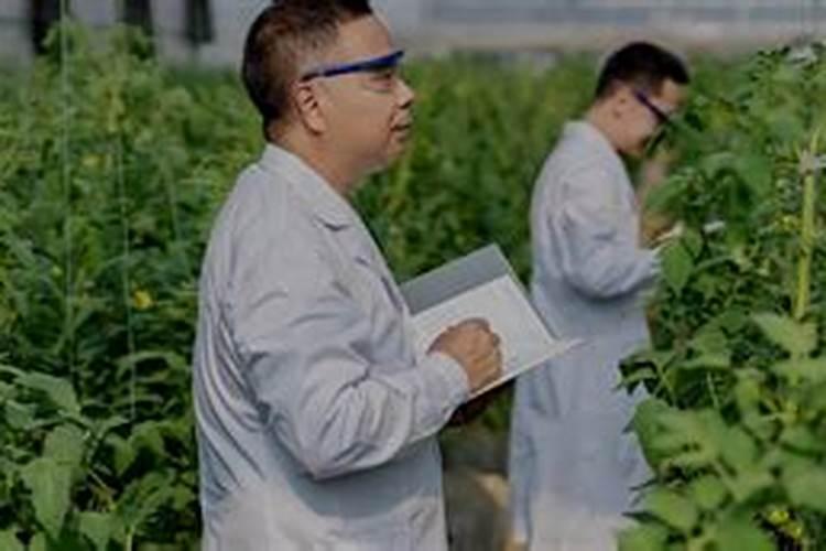 广东佛山青上肥料制造有限公司怎么样？