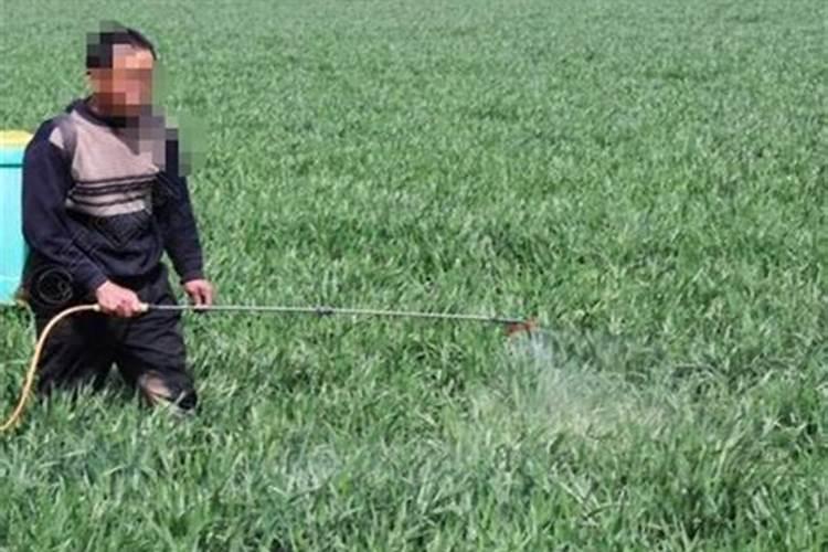 大豆硼肥如何使用？