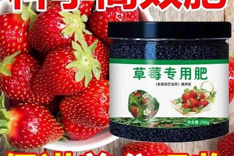草莓滴灌钙肥一亩多少斤？