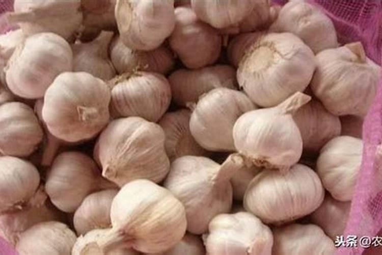 蒜苗锈病打什么药