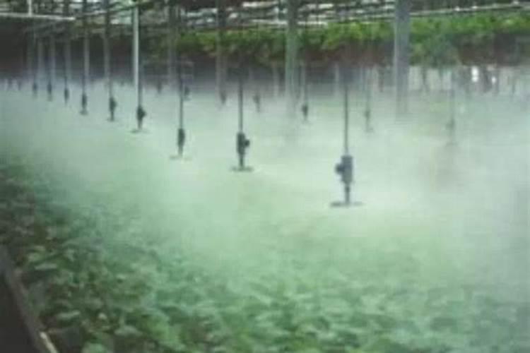 果树六月份施磷肥的好处