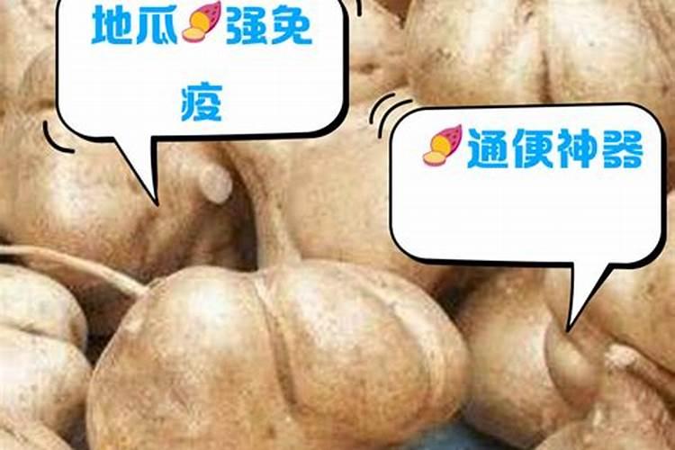 种地瓜用什么肥料最好