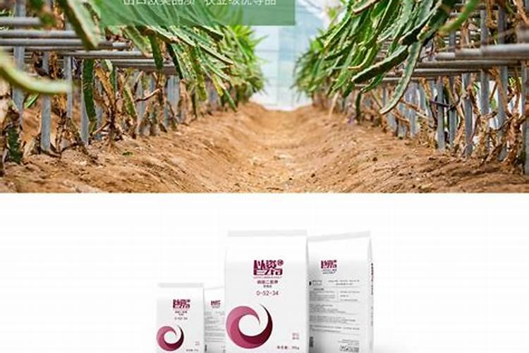 磷肥的最佳使用时间 磷肥有生根作用吗