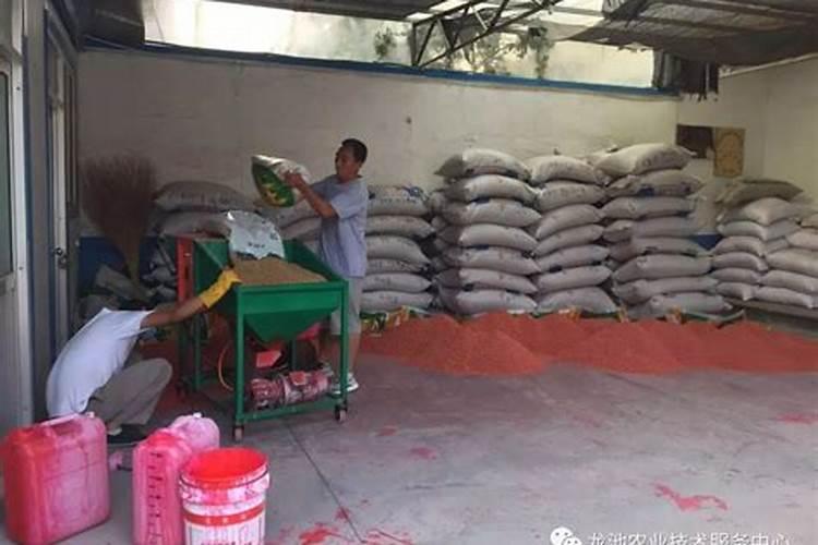 硅肥的作用及使用方法