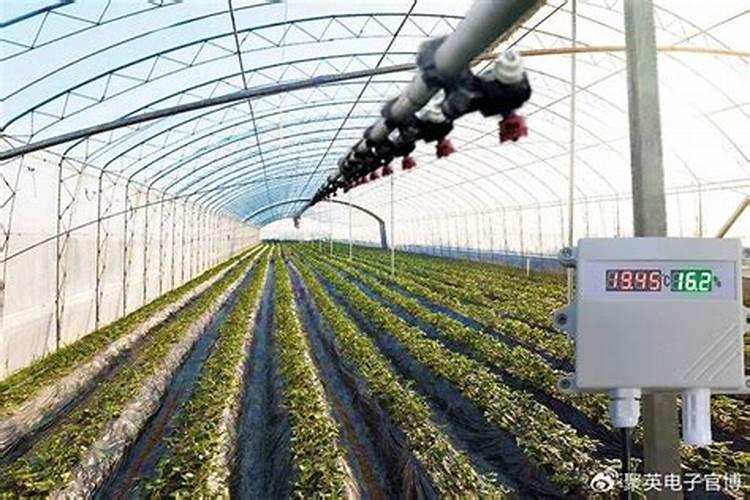 哪些肥料适合滴灌施肥 滴灌施肥用什么肥好