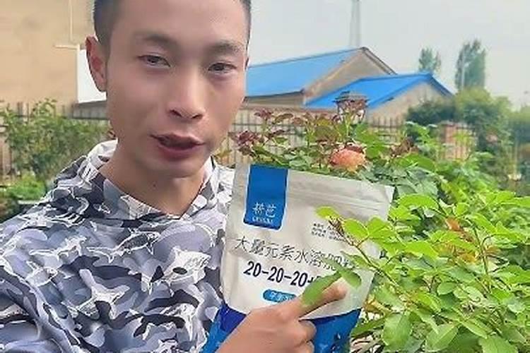 大量元素水溶肥对花卉绿植的用法