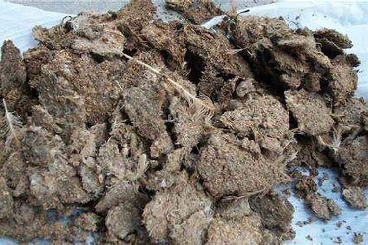 为什么要用粪便做肥料