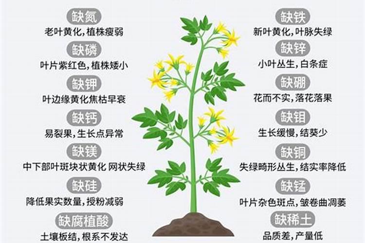 花生叶面喷施硼肥一亩地用量多少？