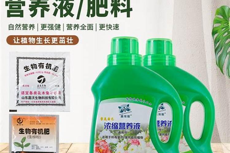 生根粉和速效复合肥可同时用老杆幸福树吗？