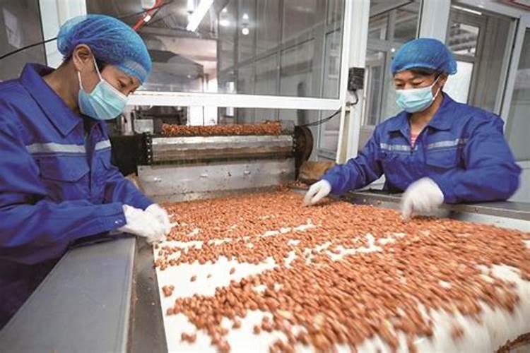 花生后期喷什么叶面肥最好