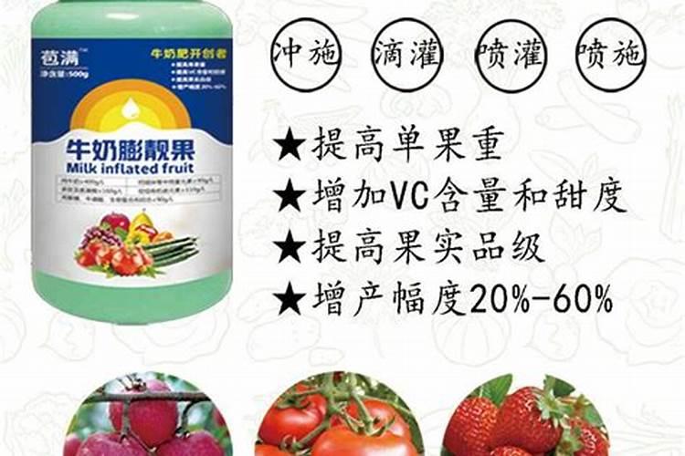 西红柿结果期上什么肥料产量高？西红柿用哪种水溶肥效果好？