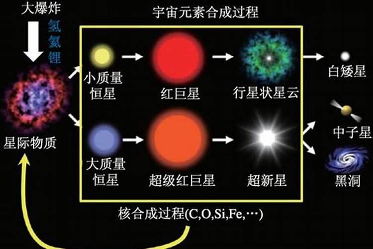 中量元素篇:各种元素的生理作用以及元素缺乏症状表现