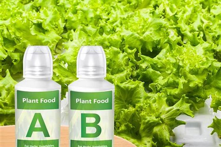 怎样给水培花卉蔬菜施肥？